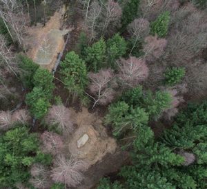 Das Bild zeigt Teiche verschiedener Größe in einem Waldstück von oben fotografiert