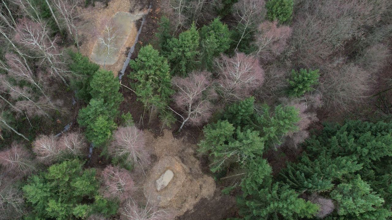 Das Bild zeigt Teiche verschiedener Größe in einem Waldstück von oben fotografiert