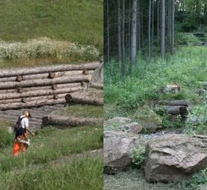 Auf dem Bild sind Arbeiter im Wald zu erkennen, die einen Holzkastenverbau anbringen.