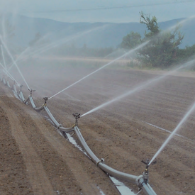 Abschätzung des zukünftigen Wasserbedarfs für die Gemüseproduktion in Rheinland-Pfalz 