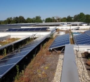 Auf dem Bild sind Solaranlagen in Verbindung mit einer extensiven Dachbegrünung zu erkennen. 
