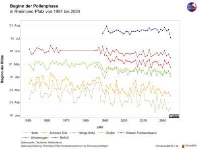 Die Abbildung zeigt Zeitreihen des Pollenphasenbeginns von 1951-2024 für unterschiedlichen Pflanzen, von Frühblühern, wie der Hasel und der Erle, bis hin zu Spätblühern, wie dem Beifuß. Besonders ab den 90er Jahren ist ein deutlicher  Trend zu früheren Pollenphasen erkennbar, während die Jahr zu Jahr Variabilität erhalten bleibt.