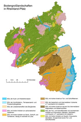 Bodengroßlandschaften von Rheinland-Pfalz
