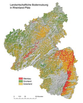 Die Karte zeigt die landwirtschaftliche Bodennutzung in Rheinland-Pfalz. Ackerbau macht dabei den größten Flächenanteil aus. Im Moseltal und im Nördlichen Oberrheintiefland findet zudem Weinbau statt. In der Westeifel ist dagegen der Grünlandanteil hoch.
