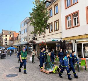 Auf dem Bild wird ein Wanderbaum in Zweibrücken umgezogen.