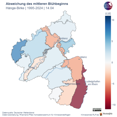 Die Karte zeigt die regionalen Unterschiede in Rheinland-Pfalz basierend auf den Naturräumen anhand des mittleren Blühbeginns der Hänge-Birke.  Der mittlere Blühbeginn der Hänge-Birke der letzten 30 Jahre (1995-2024) war am 14. April. Deutlich sind jedoch Unterschiede in den Naturräumen von knapp 4 Wochen zu beobachten. Besonders früh startet die Pollensaison der Birke in der Vorderpfalz und spät im Westerwald.