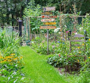Das Bild zeigt einen Garten mit vielen Sträuchern und Blumen