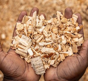Auf dem Bild hält eine Person Holzpellets in den Händen.