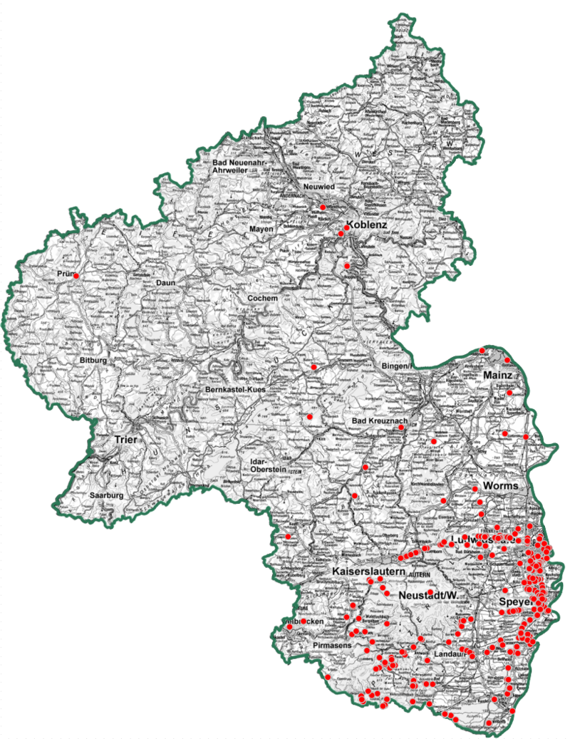 Das Bild zeigt eine topographische graue Karte von Rheinland-Pfalz, welche mit roten Punkten versehen ist. Die Punkte stellen dar, wo die Beifuß-Ambrosie vorkommt. Es wird ersichtlich, dass die Pflanze im Südosten des Landes am stärksten verbreitet ist, während im Norden nur sehr vereinzelt Punkte erkennbar sind.
