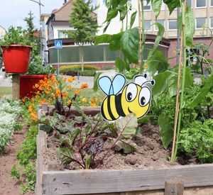 Das Bild zeigt ein Beet mit Gemüsepflanzen in einer Stadt
