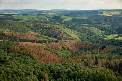 Cinema Debat - Kinoabend „Klimawandel im Südwesten“ am 16. April in Lambrecht
