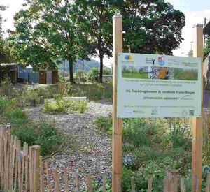 Auf dem Bild ist eine umzäunte Grünfläche zu erkennen, an deren Eingang ein Schild steht.