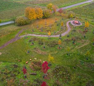 Das Bild zeigt das Areboretum im Herbst vom oben