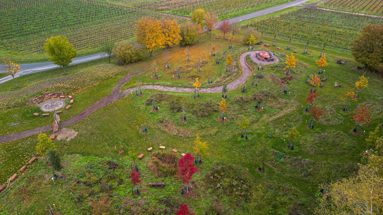 Das Bild zeigt das Areboretum im Herbst vom oben