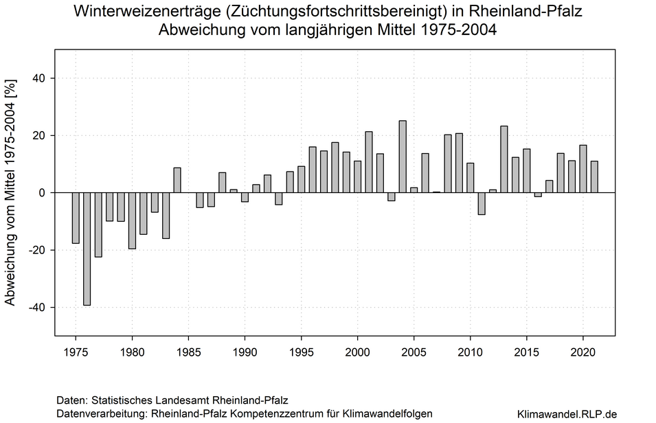 Die Graphik zeigt die Züchtungsbereinigte Winterweizenerträge von 1975 bis 2021 in Rheinland-Pfalz. Abweichungen vom langjährigen Mittel von 1975 bis 2004 in Prozent. Die Erträge nehmen mit Schwankungen bis etwa 2004 zu. Danach ist ein leichter Rückgang zu beobachten.