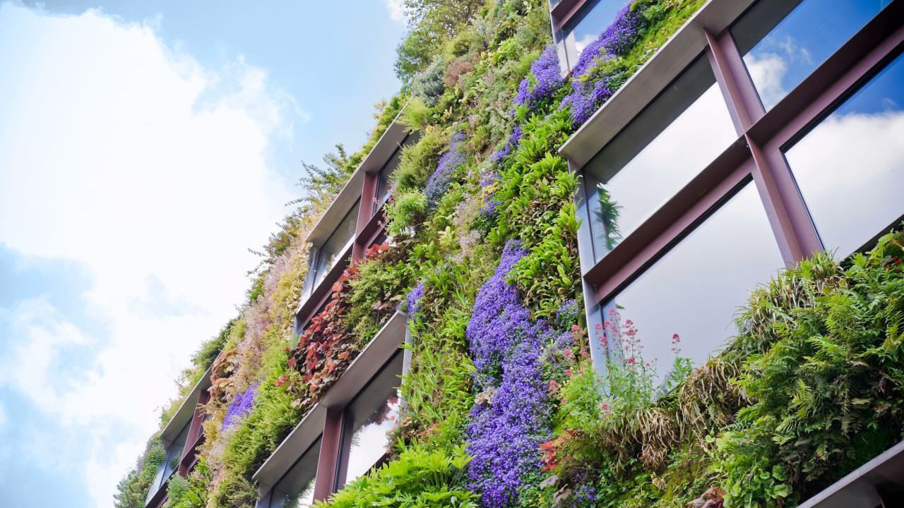 Das Bild zeigt eine begrünte Hausfront