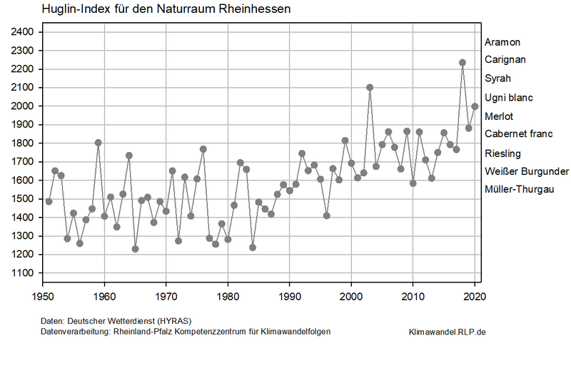 Die Graphik zeit die Entwicklung des Huglin-Index für den Naturraum Rheinhessen in Rheinland-Pfalz für den Zeitraum 1951 bis 2020. Besonders seit den 1980er Jahren ist ein Anstieg der Index-Werte zu beobachten.