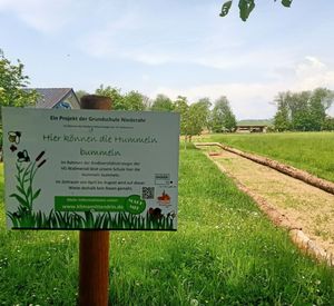 Das Bild zeigt eine grüne Wiese mit einem Schild zu Hummeln