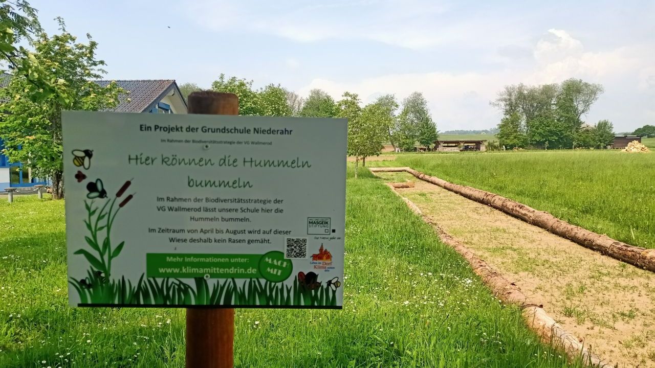Das Bild zeigt eine grüne Wiese mit einem Schild zu Hummeln