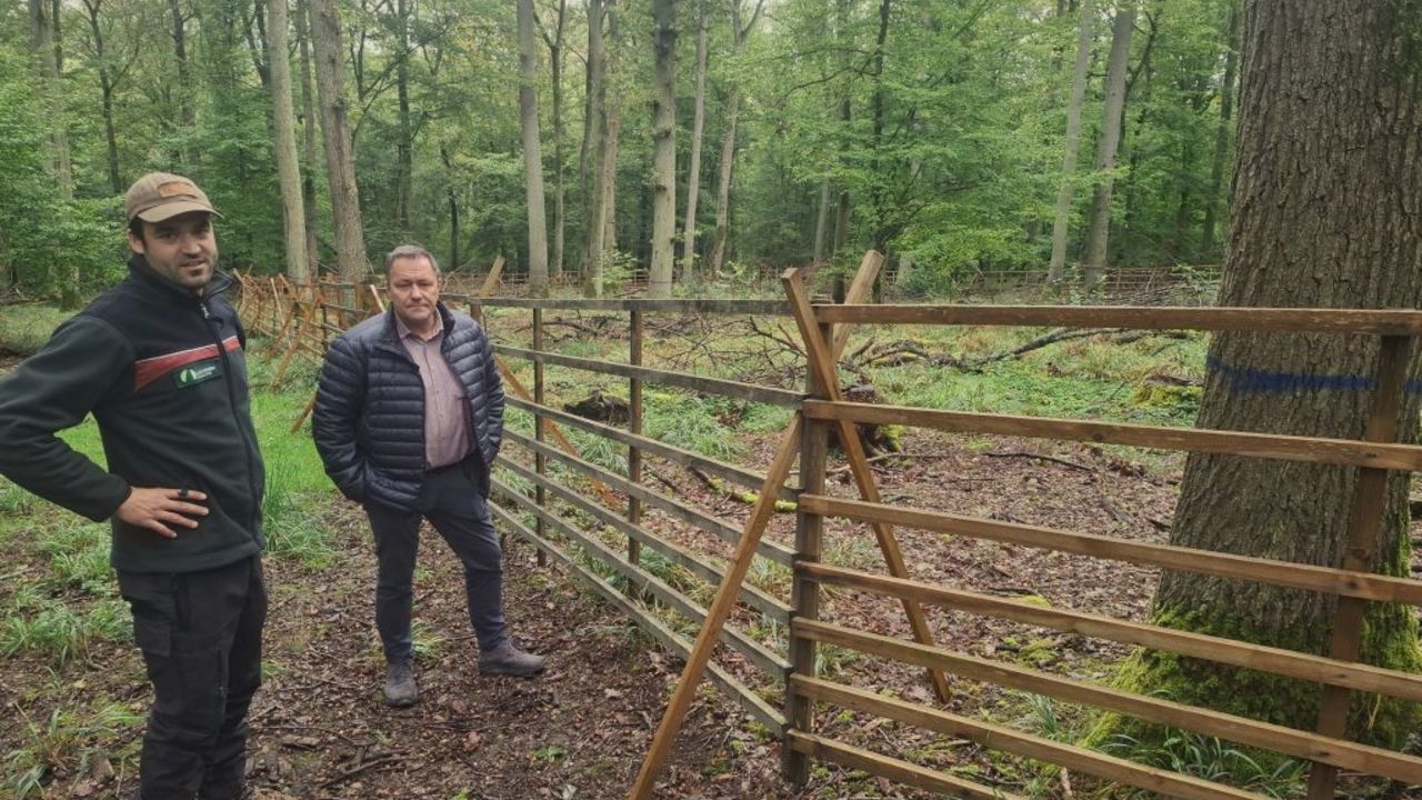 Das Bild zeigt zwei Männer vor einem Gatter im Wald