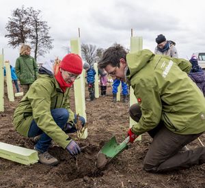 Das Bild zeigt Personen, die junge Bäume pflanzen