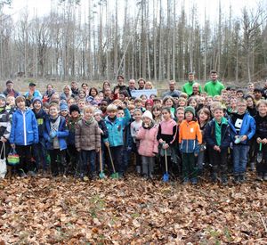Das Foto zeigt Kinder einer Grundschule bei einer Pflanzaktion im Wald
